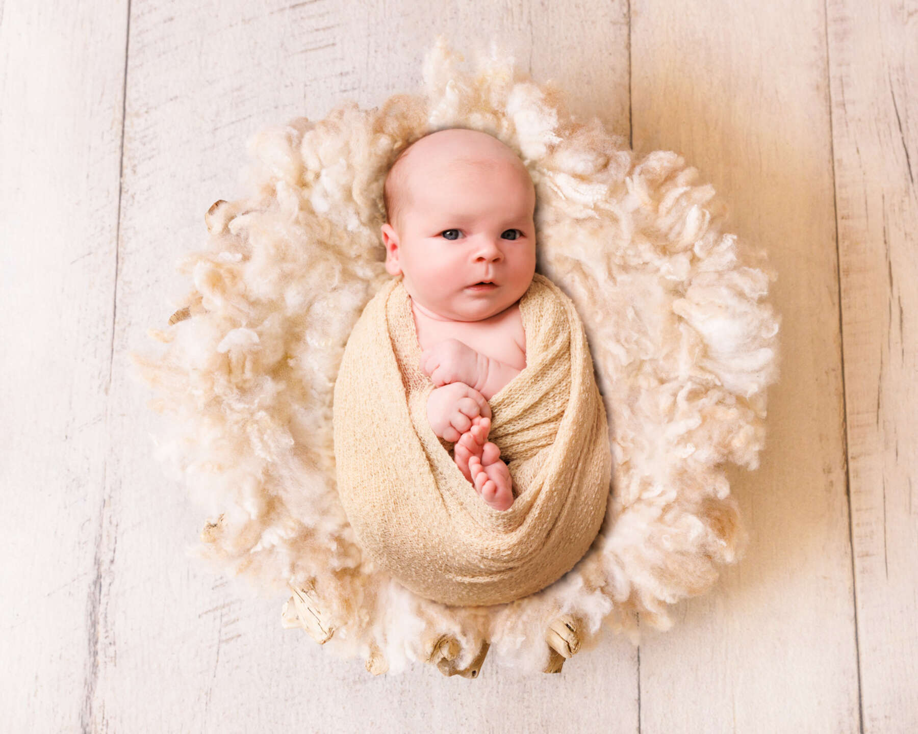 Recent newborn session in Perth