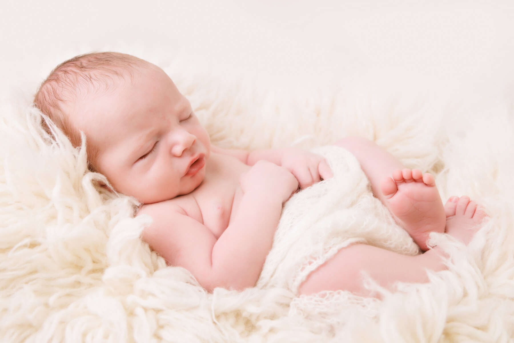 Recent newborn session in Perth