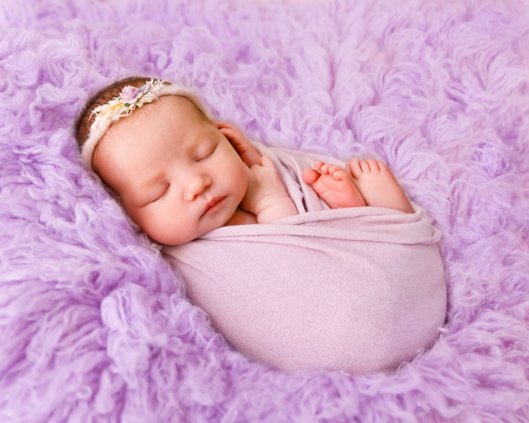 Recent newborn session in Perth