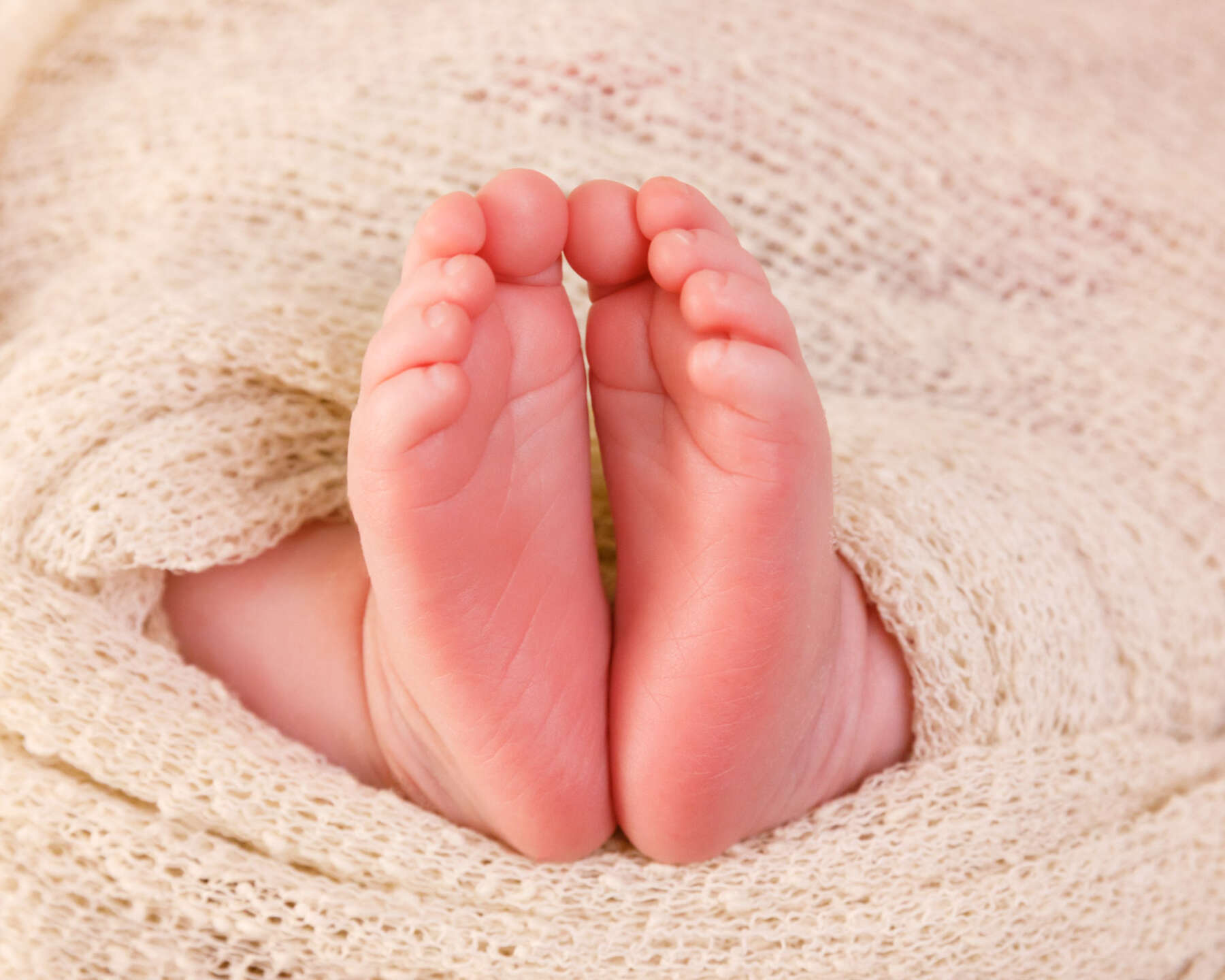 Recent newborn session in Perth