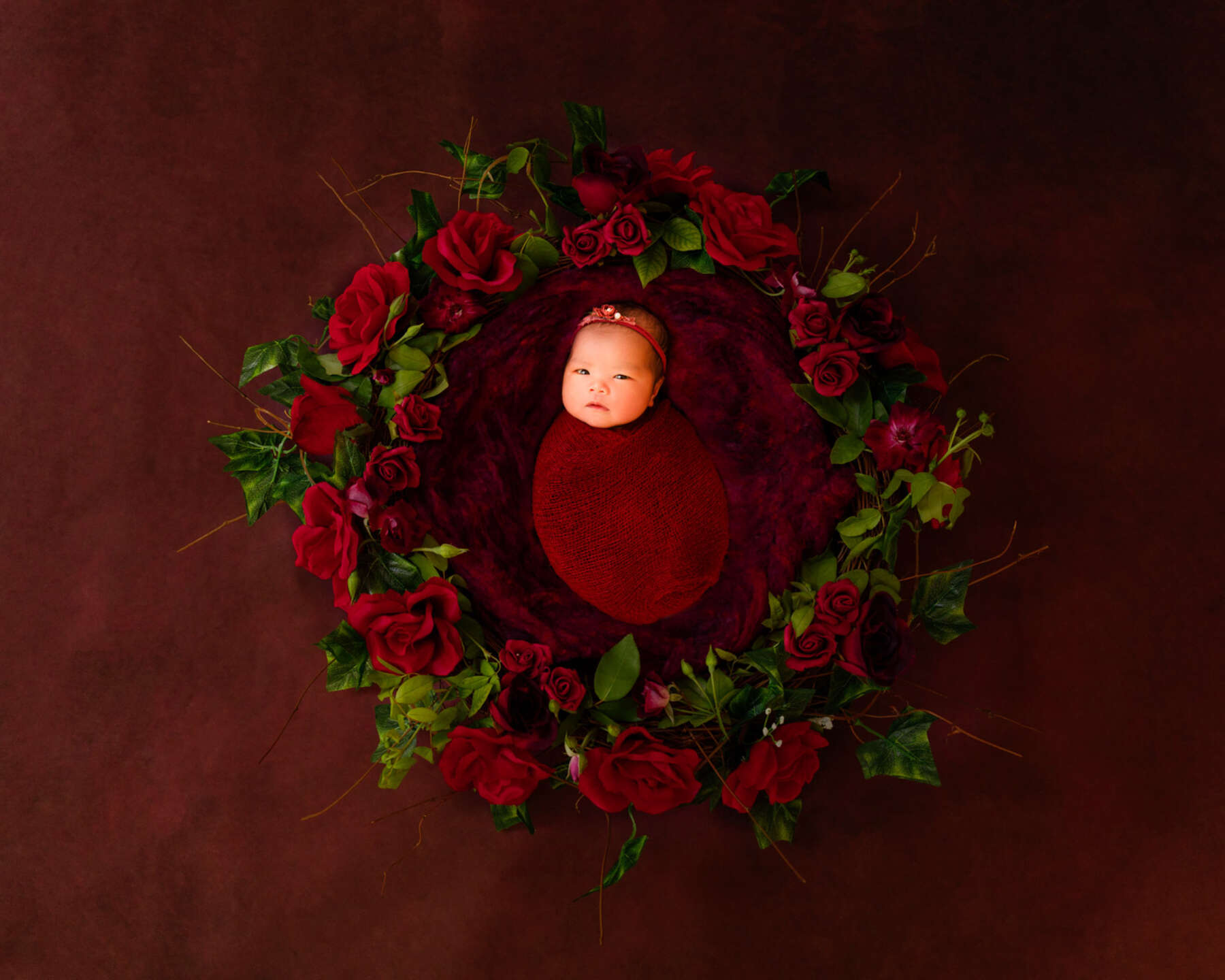 Recent newborn session in Perth