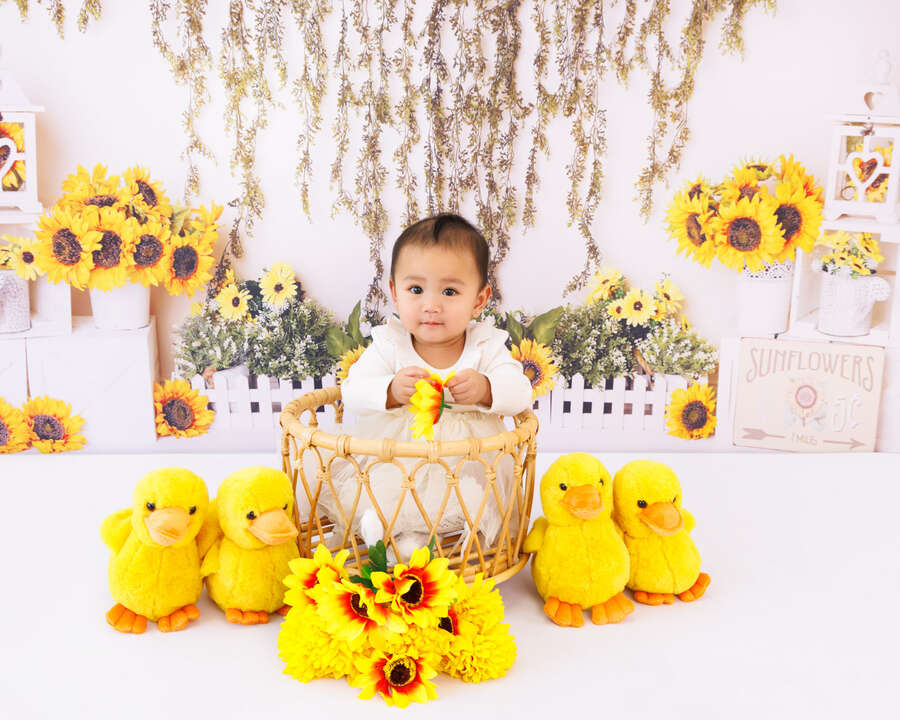 Recent baby session in Perth