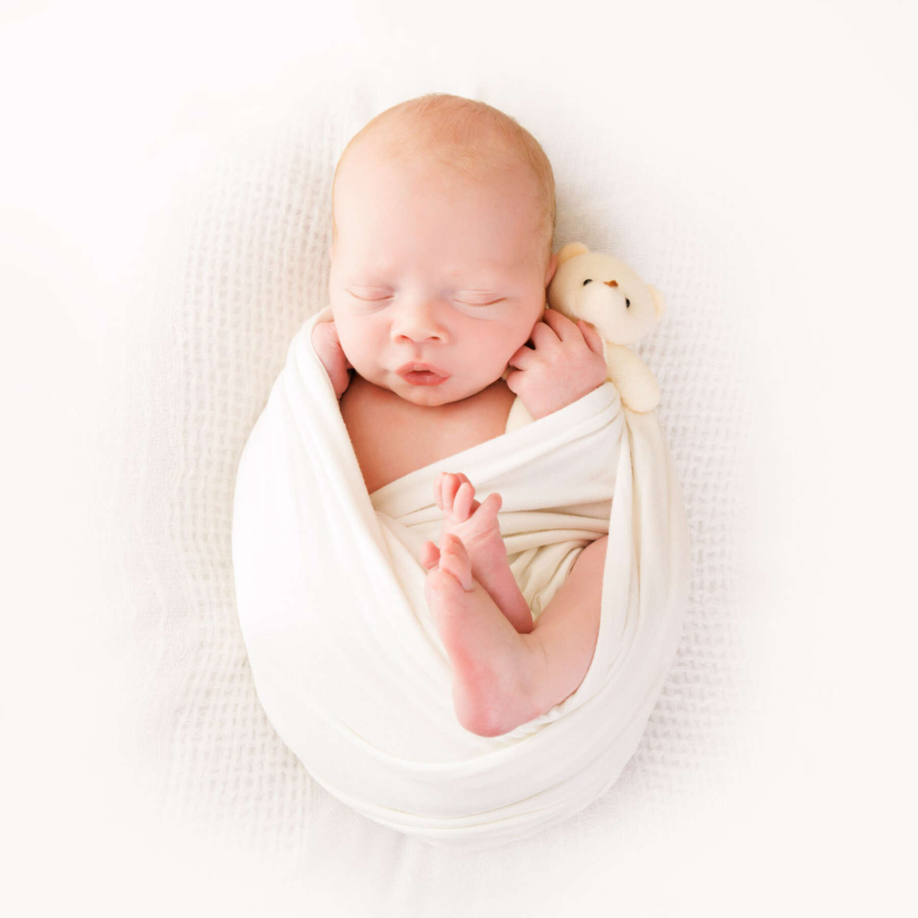 Recent newborn session in Perth