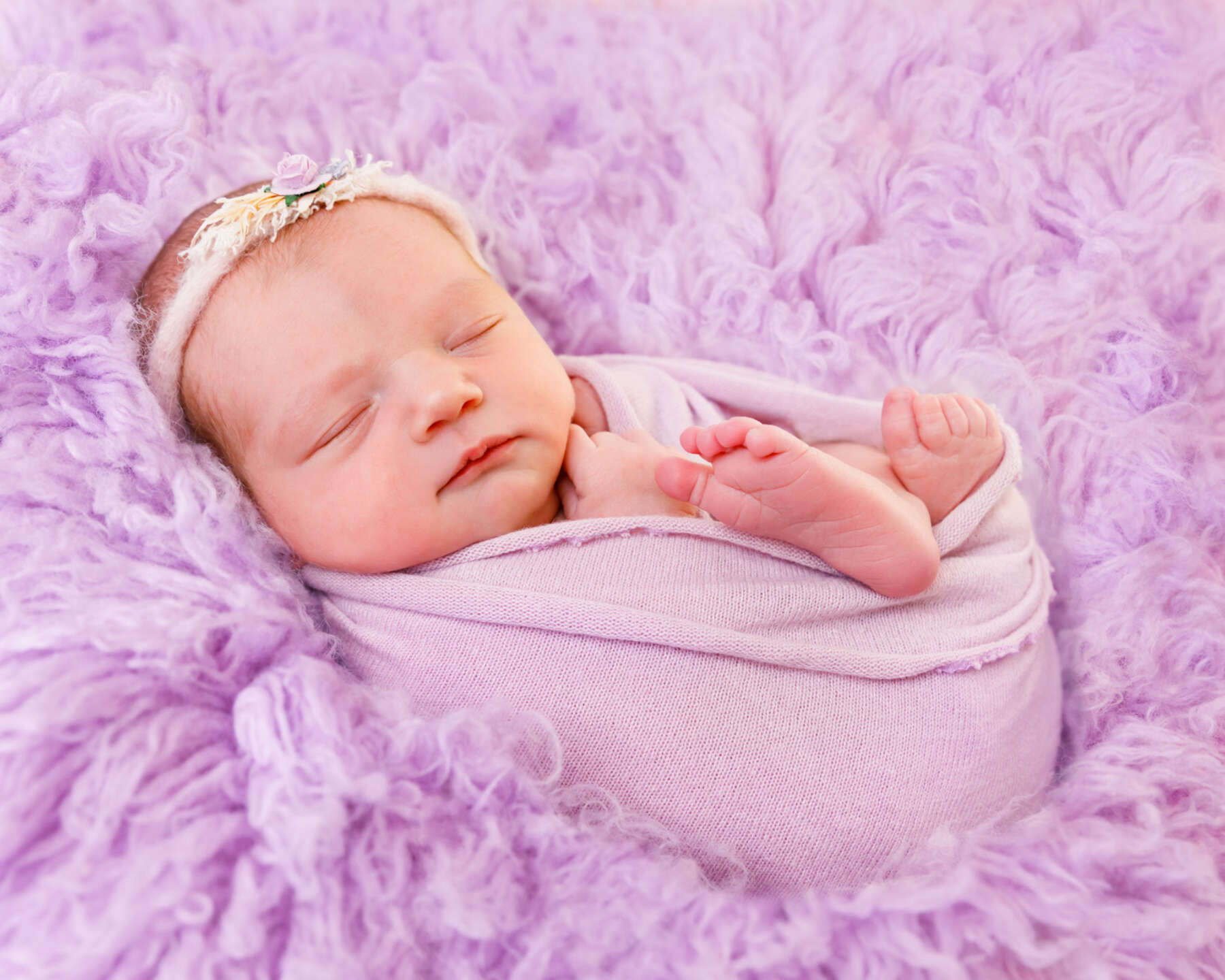 Recent newborn session in Perth