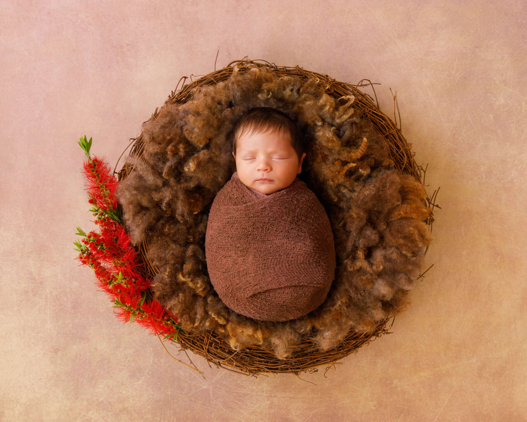 Recent newborn session in Perth