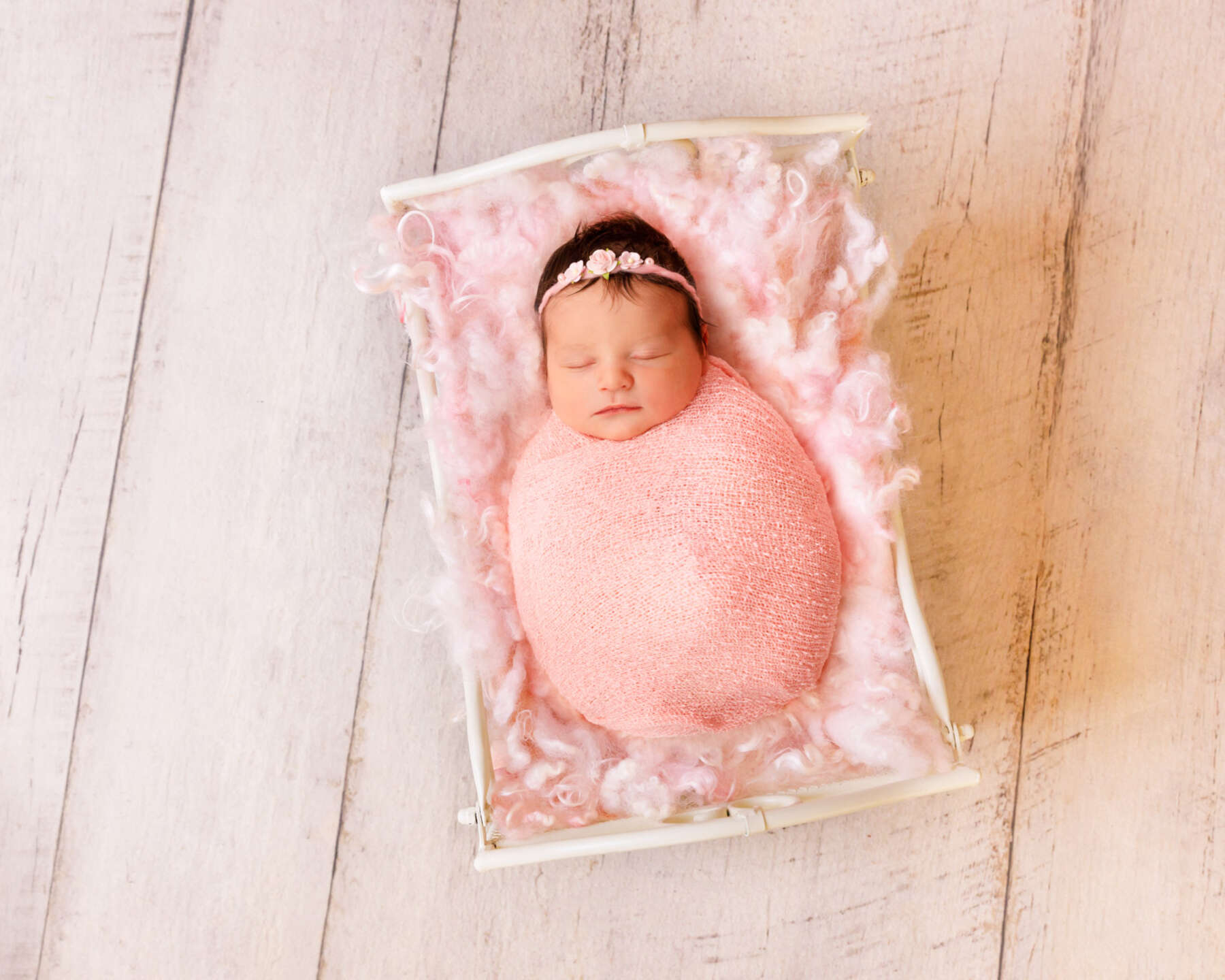 Recent newborn session in Perth