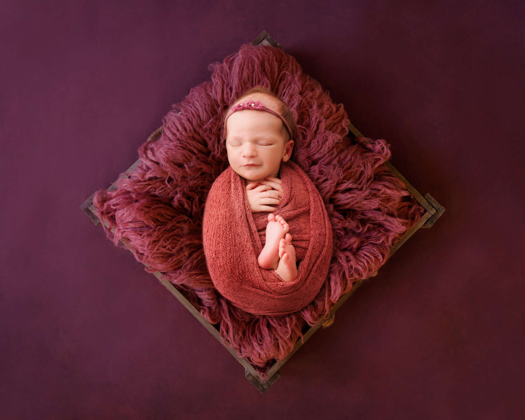 Recent newborn session in Perth