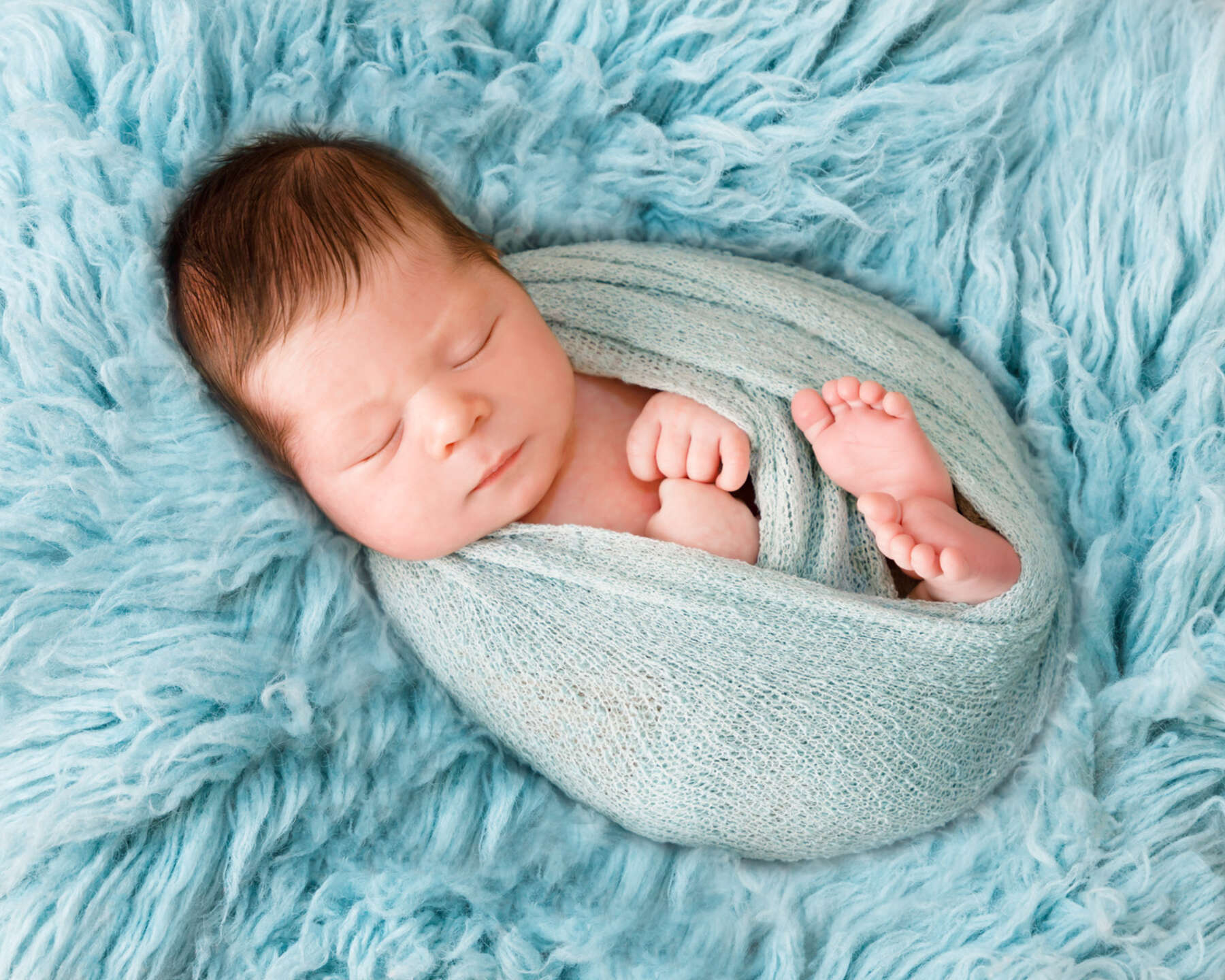 Recent newborn session in Perth