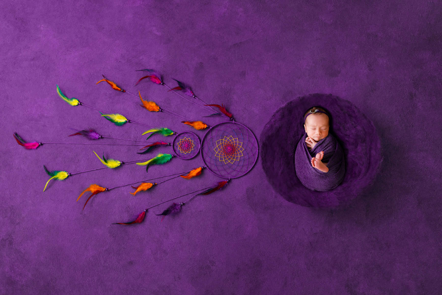 Recent newborn session in Perth