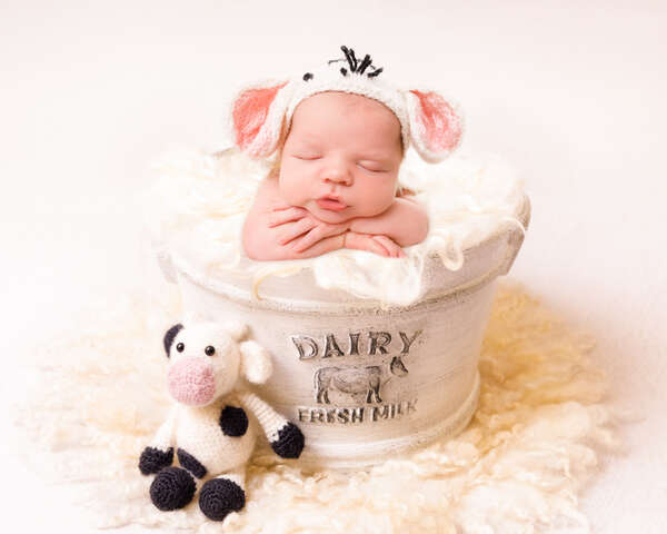 Recent newborn session in Perth