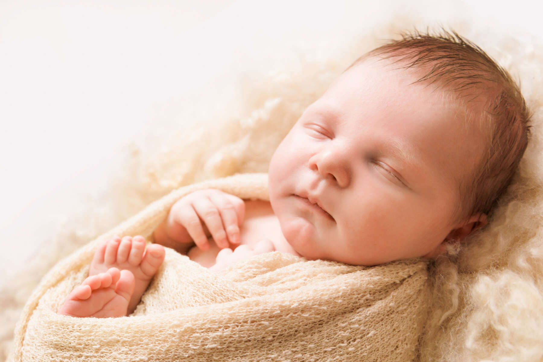 Recent newborn session in Perth