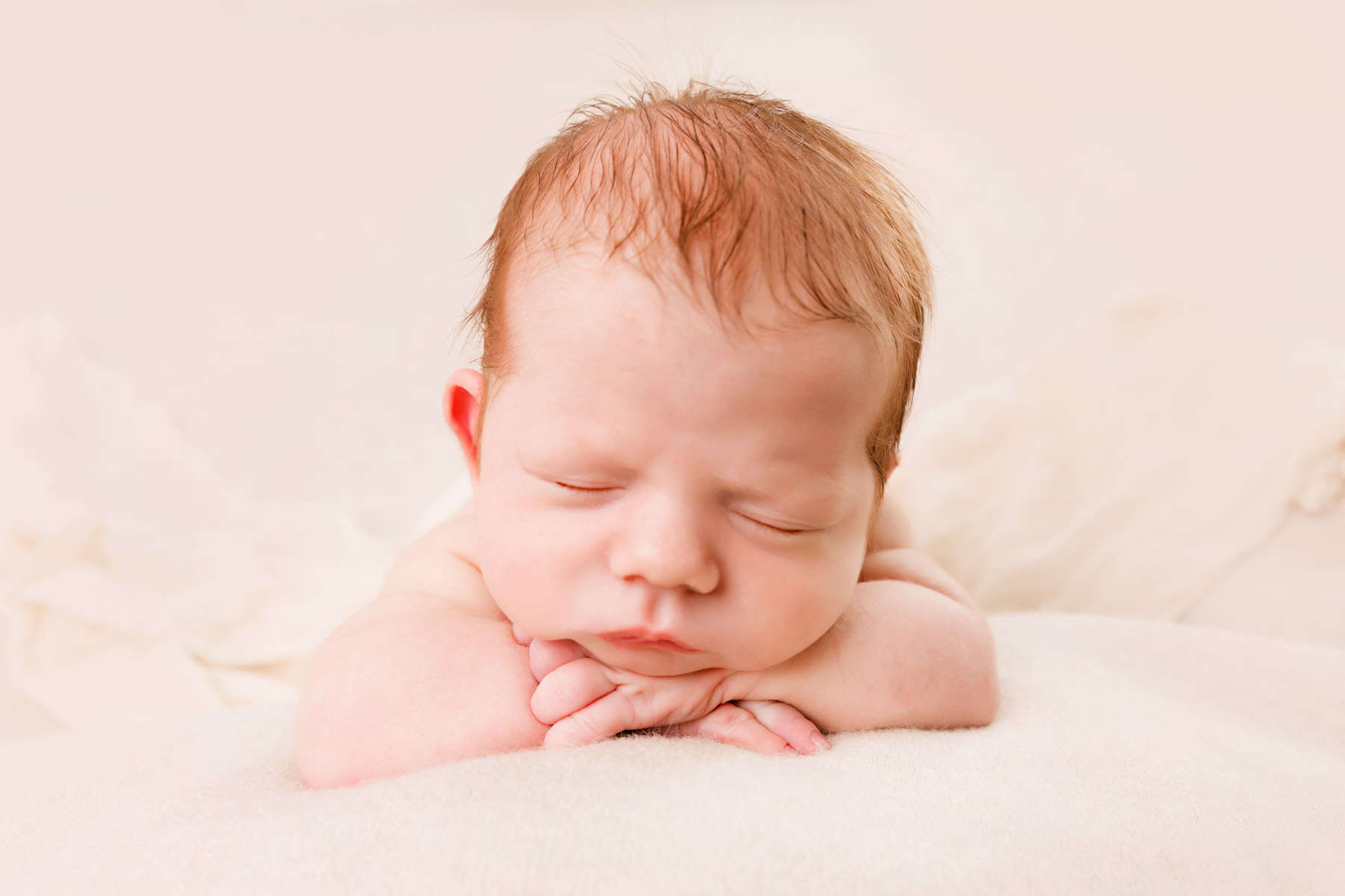 Recent newborn session in Perth