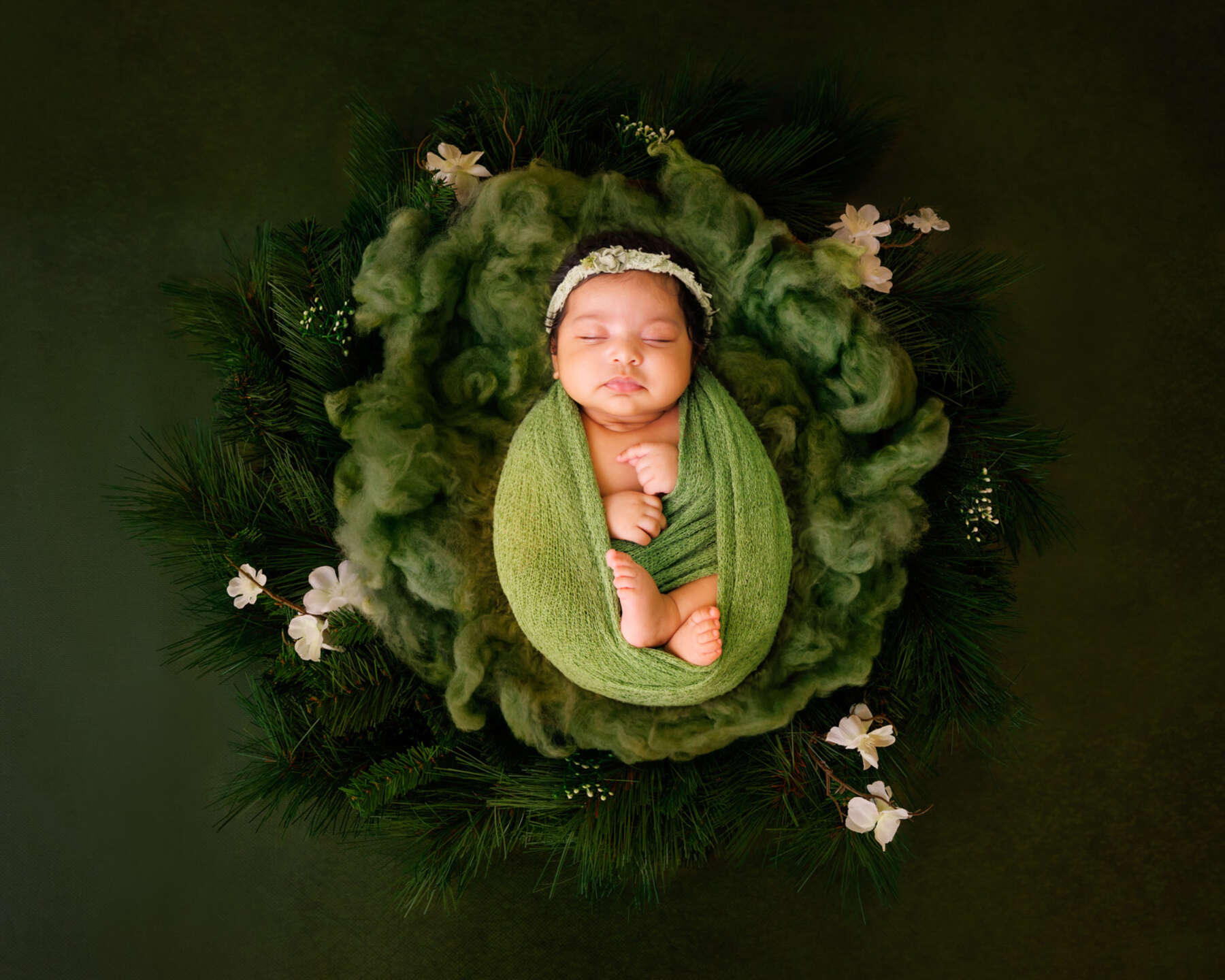 Recent newborn session in Perth