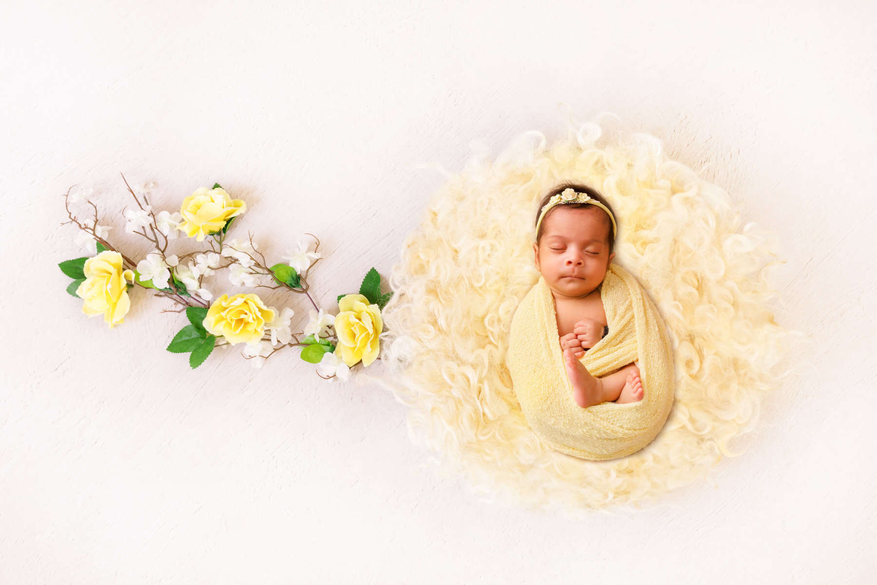 Recent newborn session in Perth