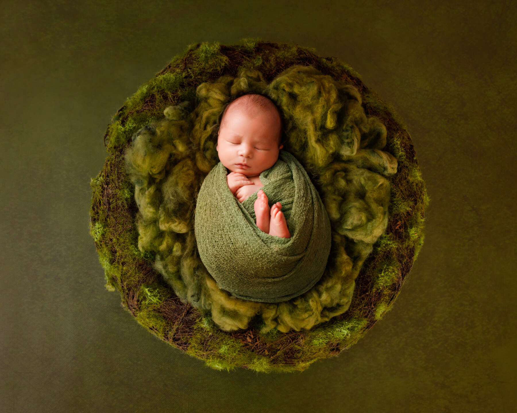 Recent newborn session in Perth