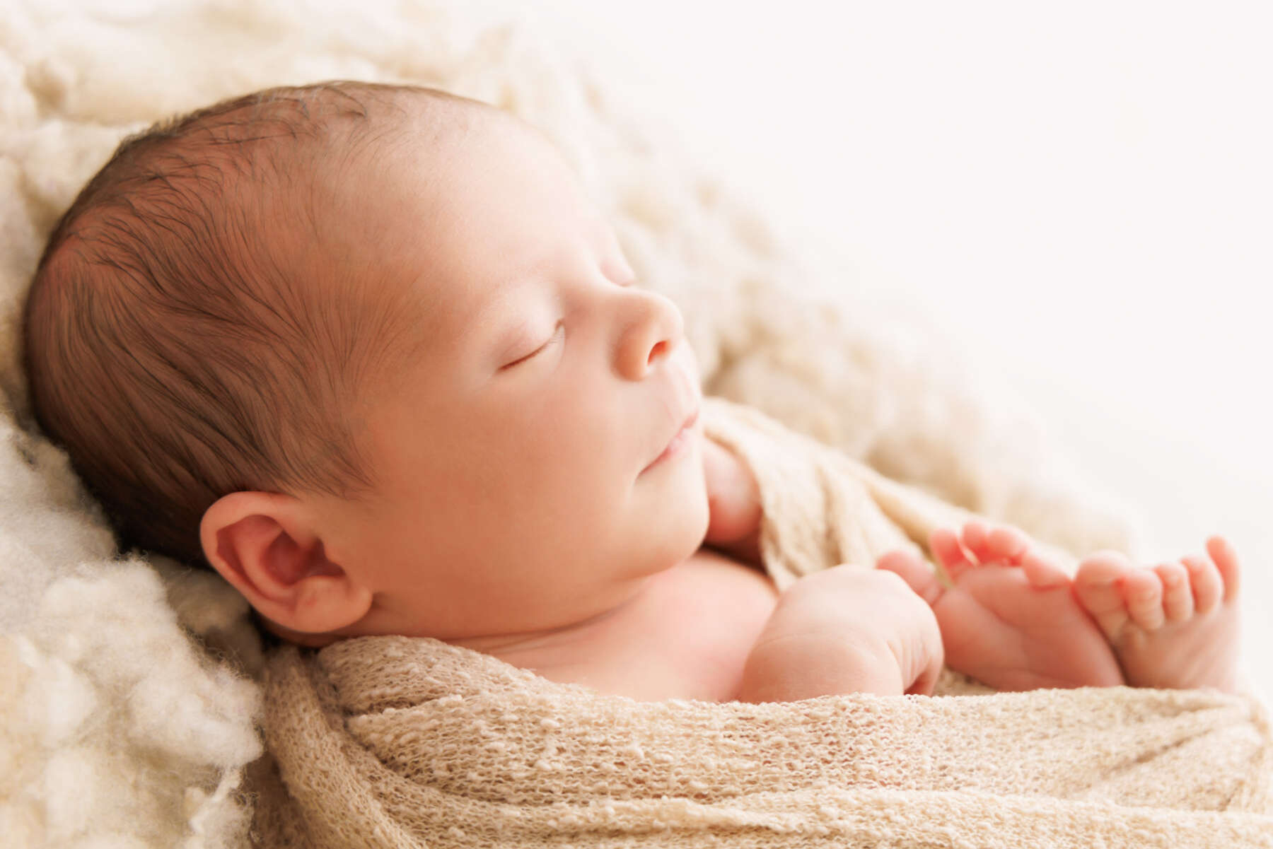 Recent newborn session in Perth