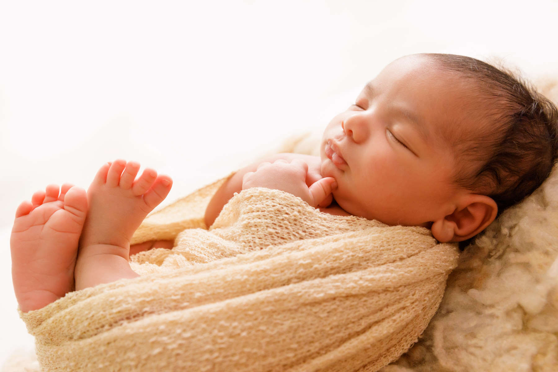 Recent newborn session in Perth