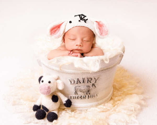 Recent newborn session in Perth