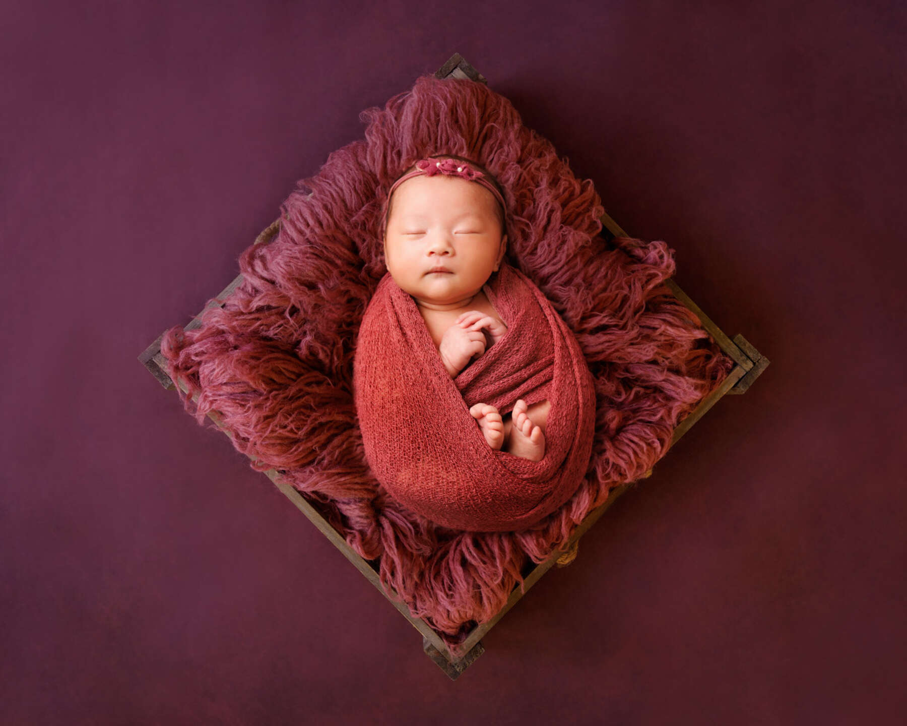 Recent newborn session in Perth