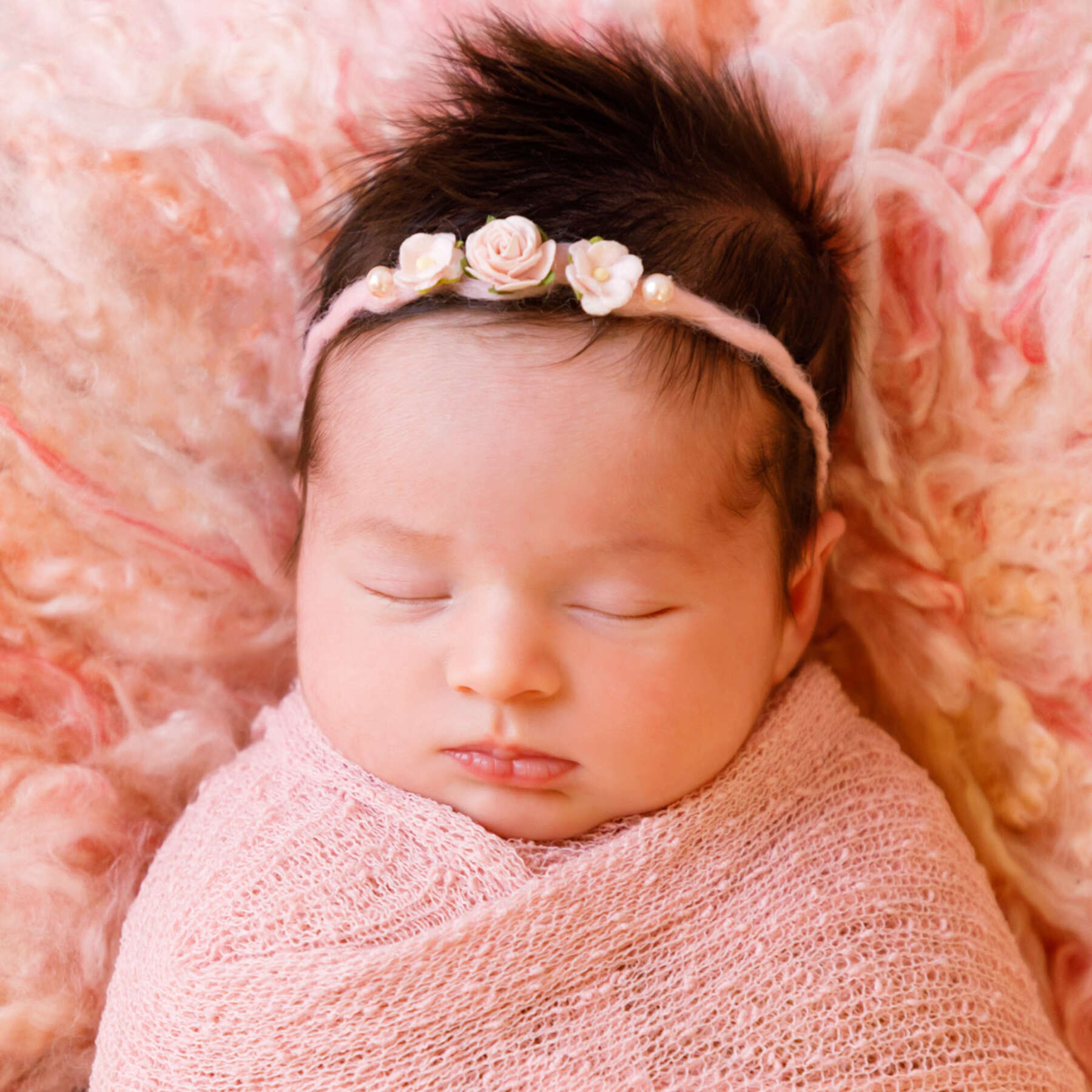 Recent newborn session in Perth