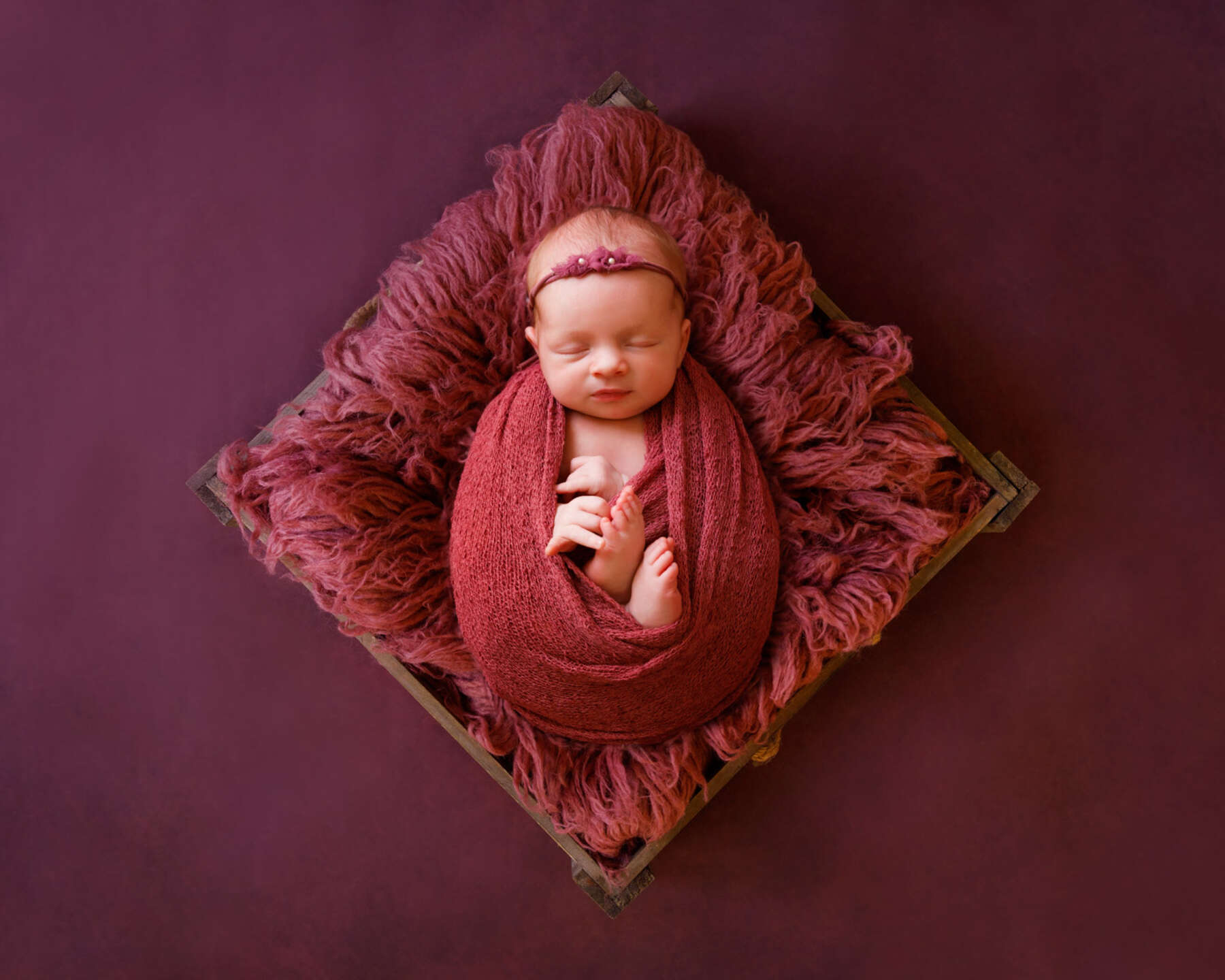 Recent newborn session in Perth