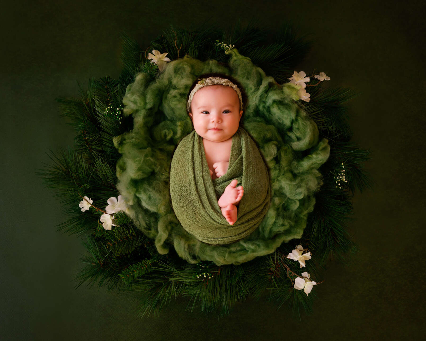 Recent newborn session in Perth