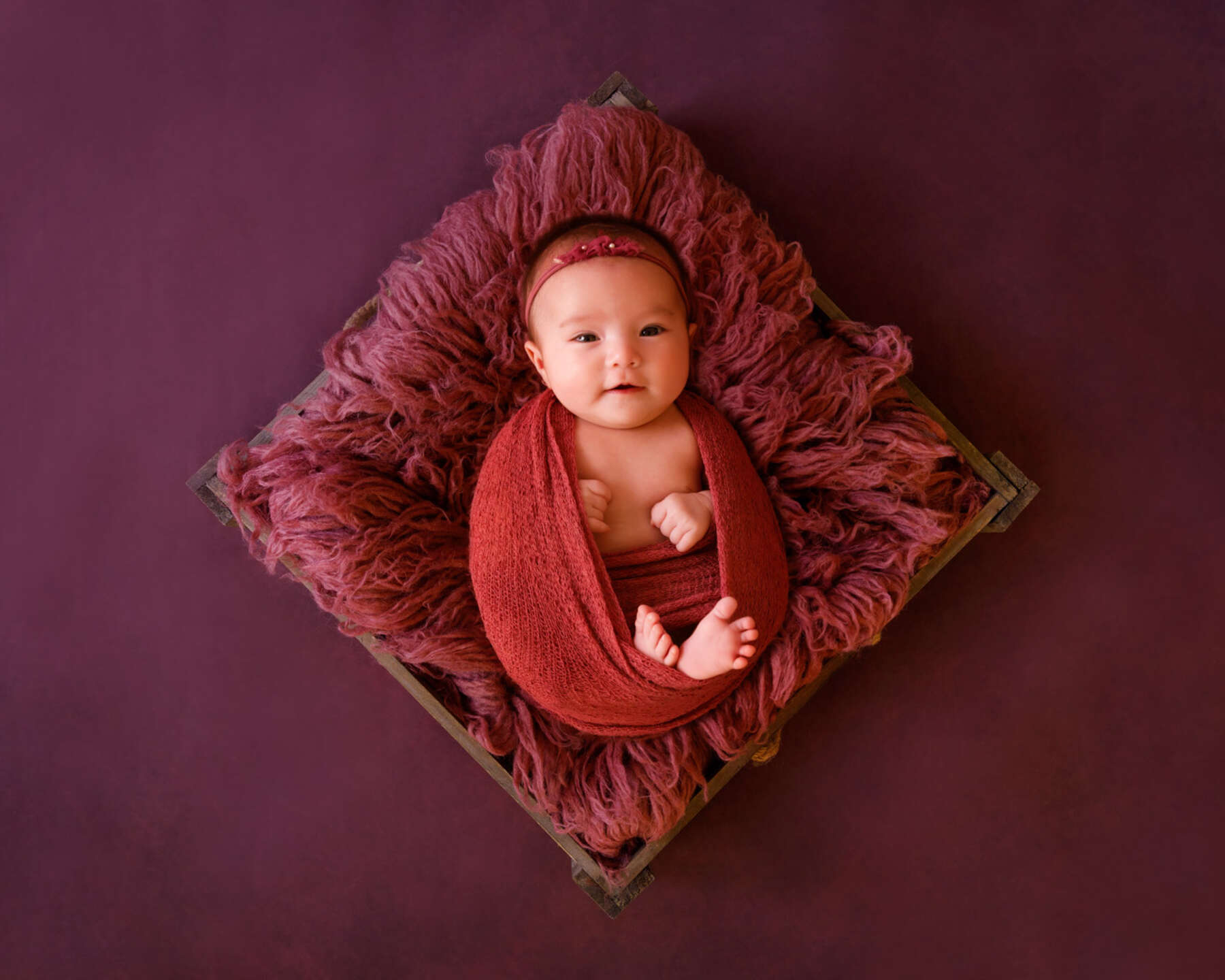 Recent newborn session in Perth
