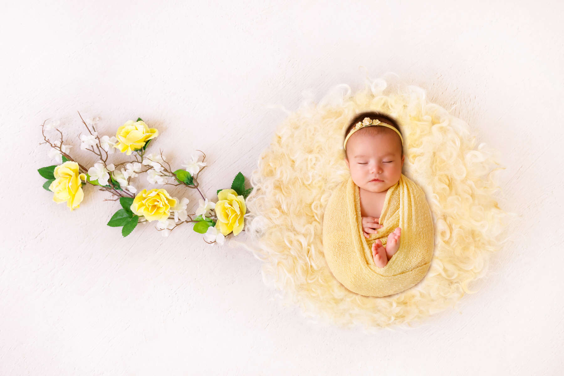 Recent newborn session in Perth