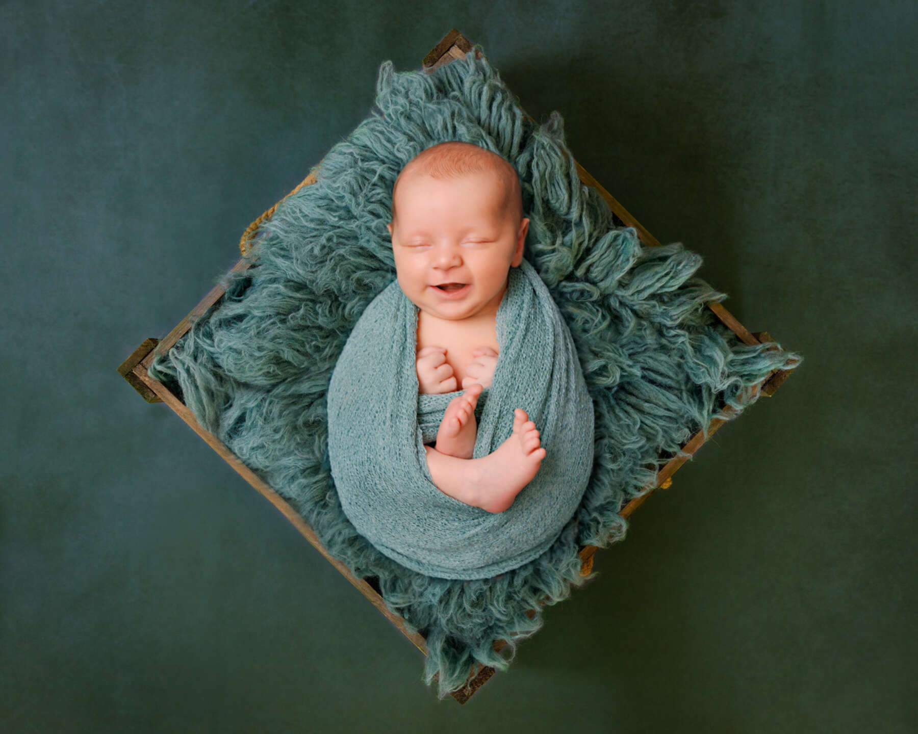 Recent newborn session in Perth