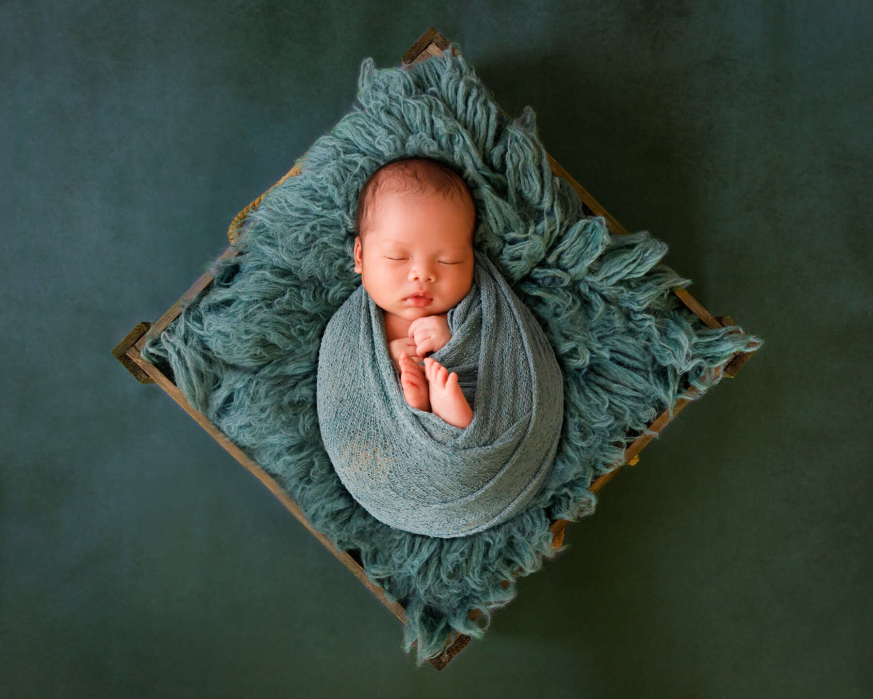 Recent newborn session in Perth