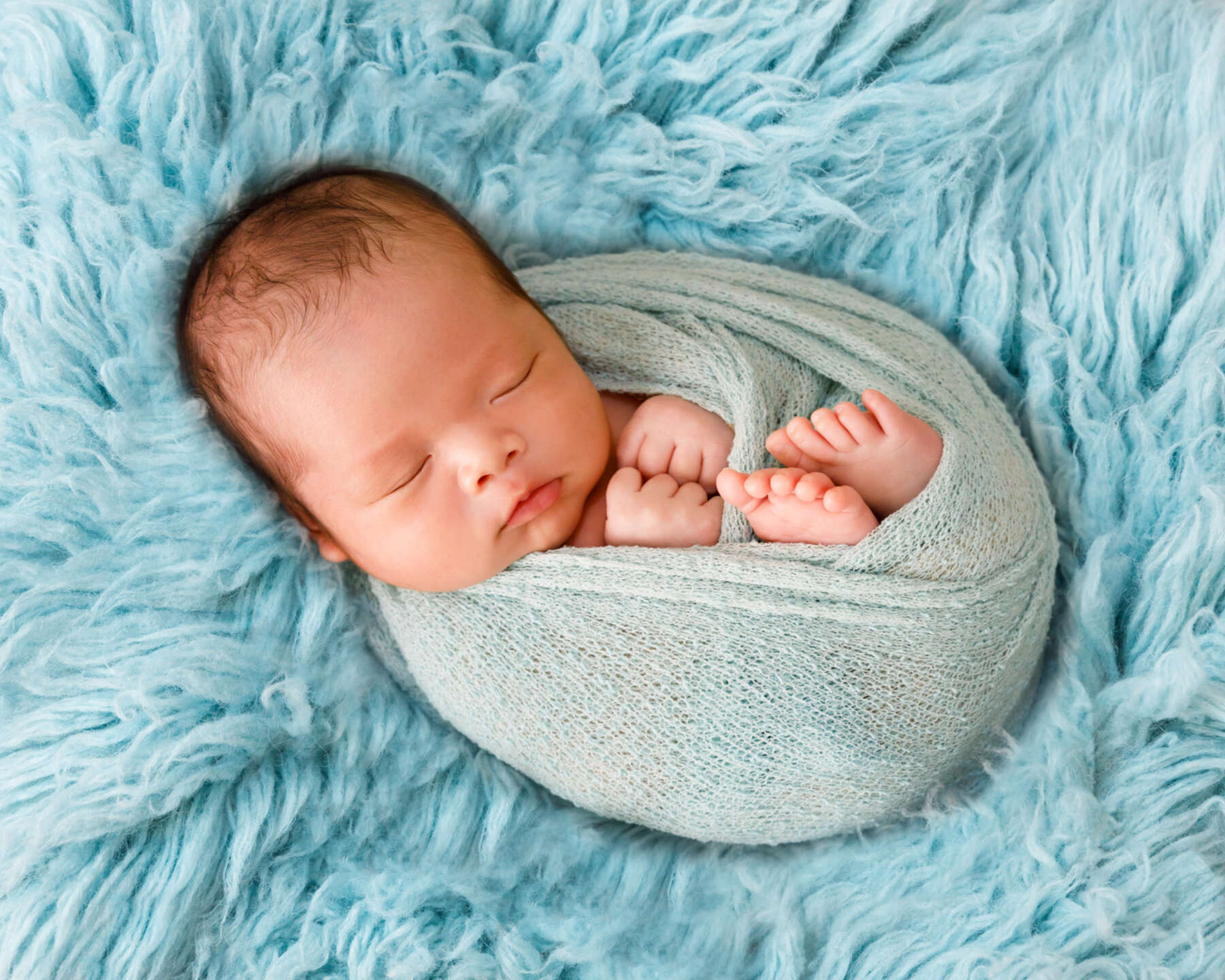 Recent newborn session in Perth