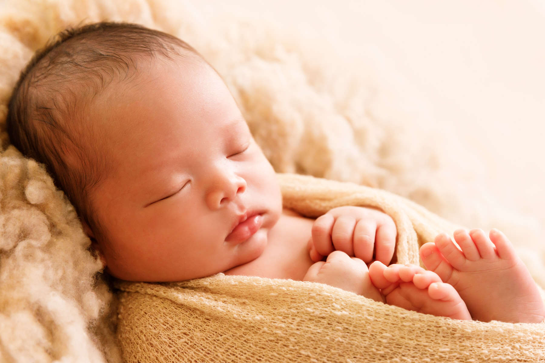 Recent newborn session in Perth