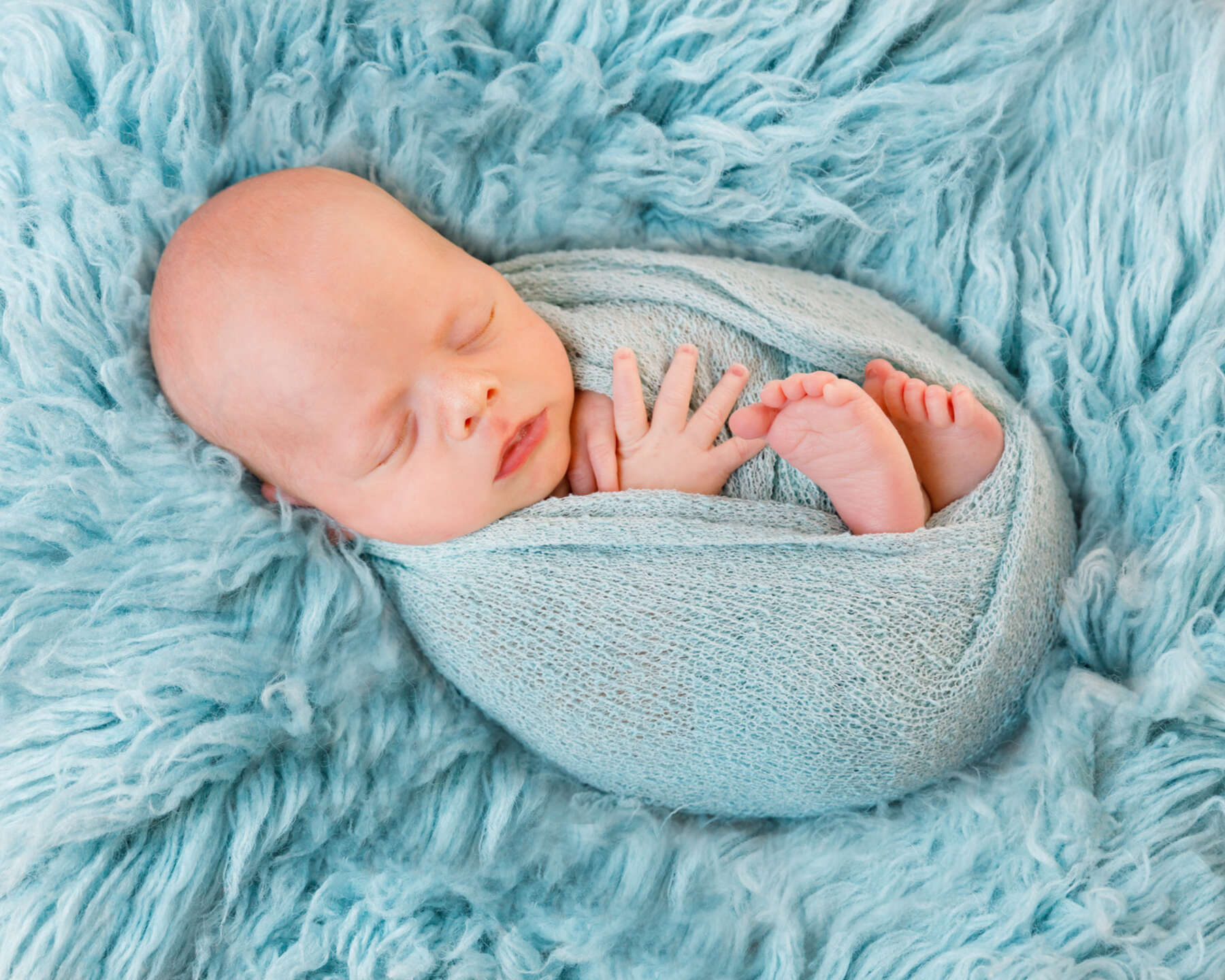 Recent newborn session in Perth