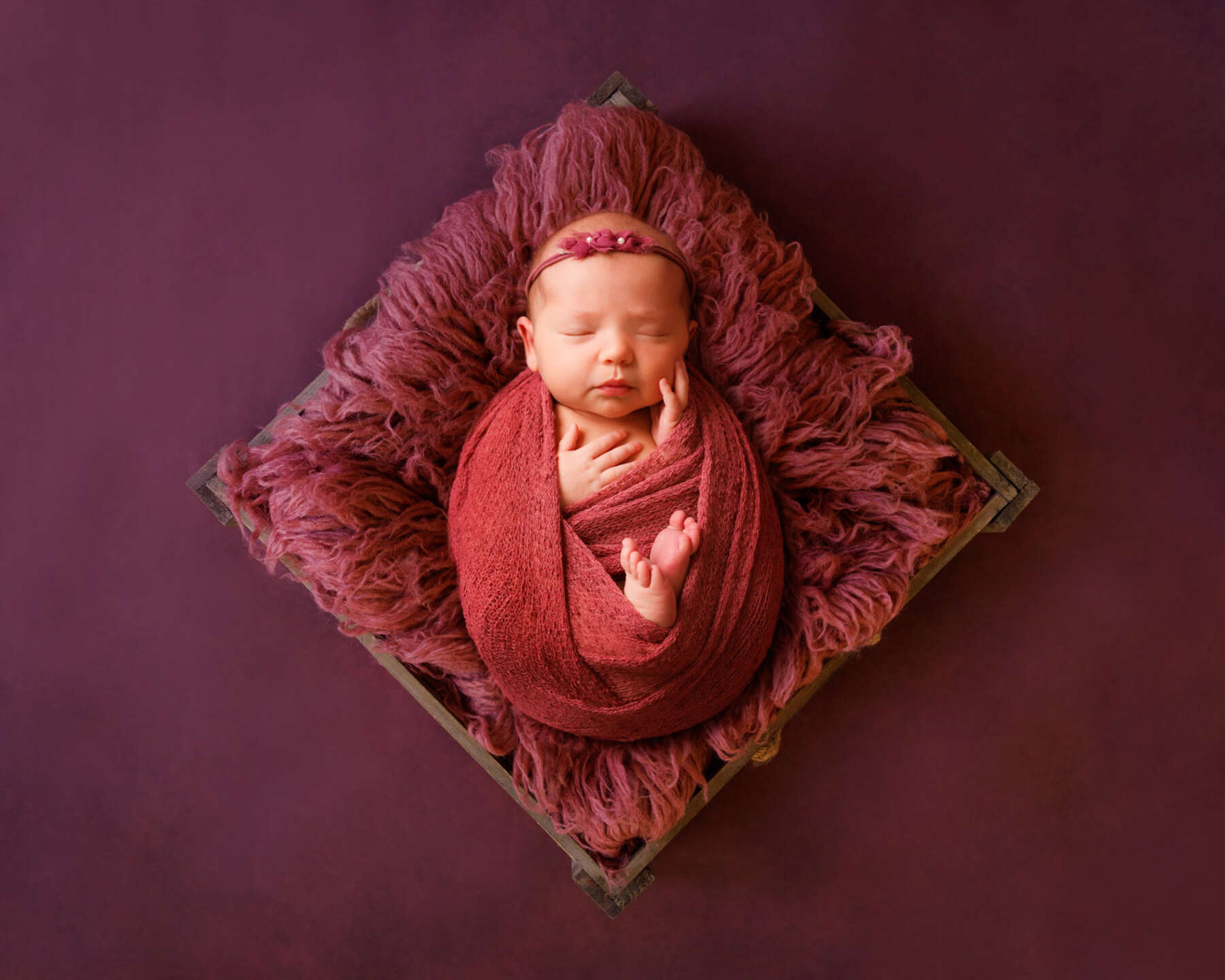 Recent newborn session in Perth