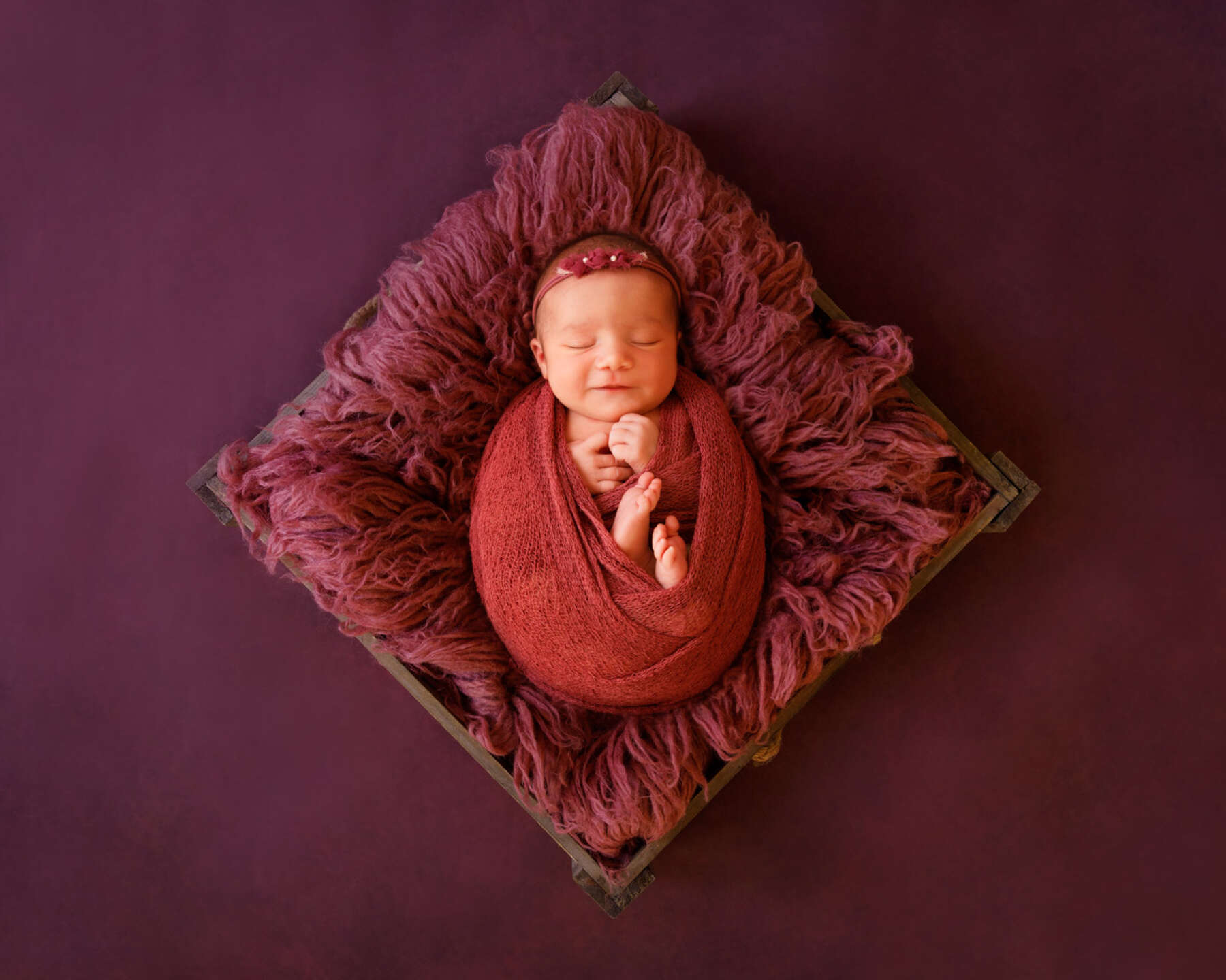 Recent newborn session in Perth