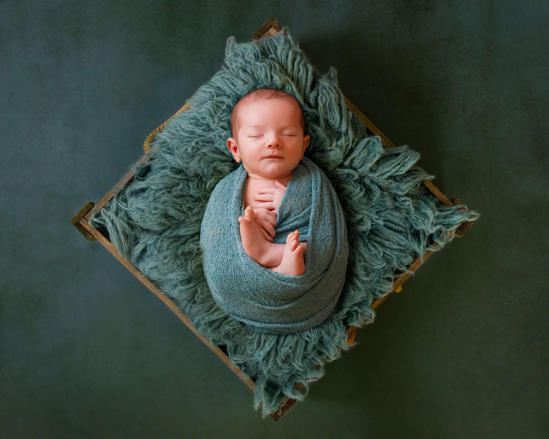 Recent newborn session in Perth