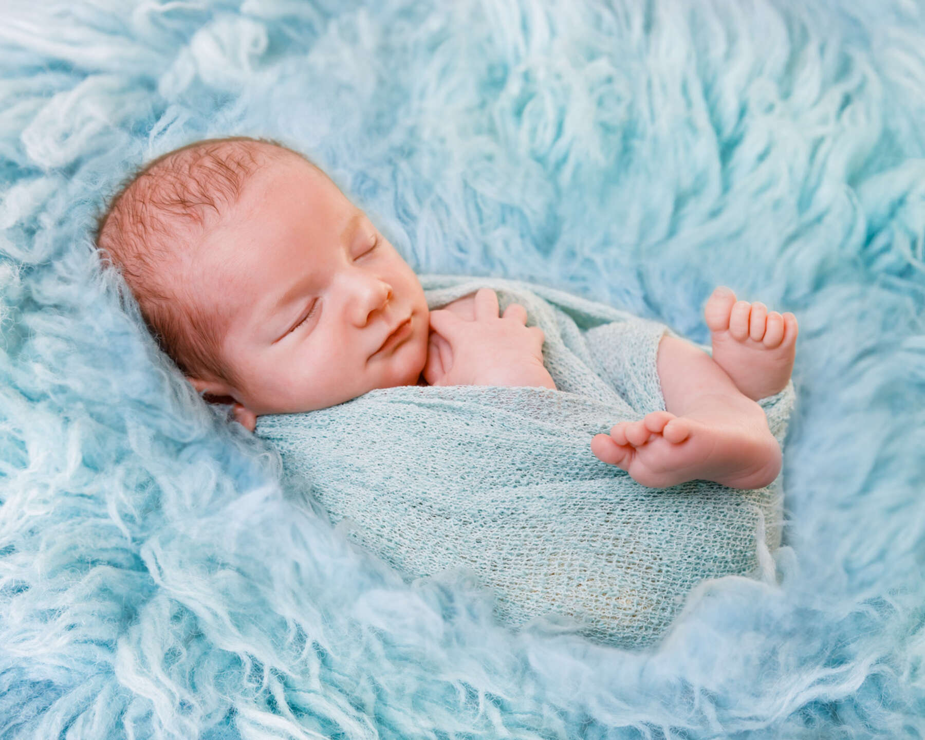 Recent newborn session in Perth