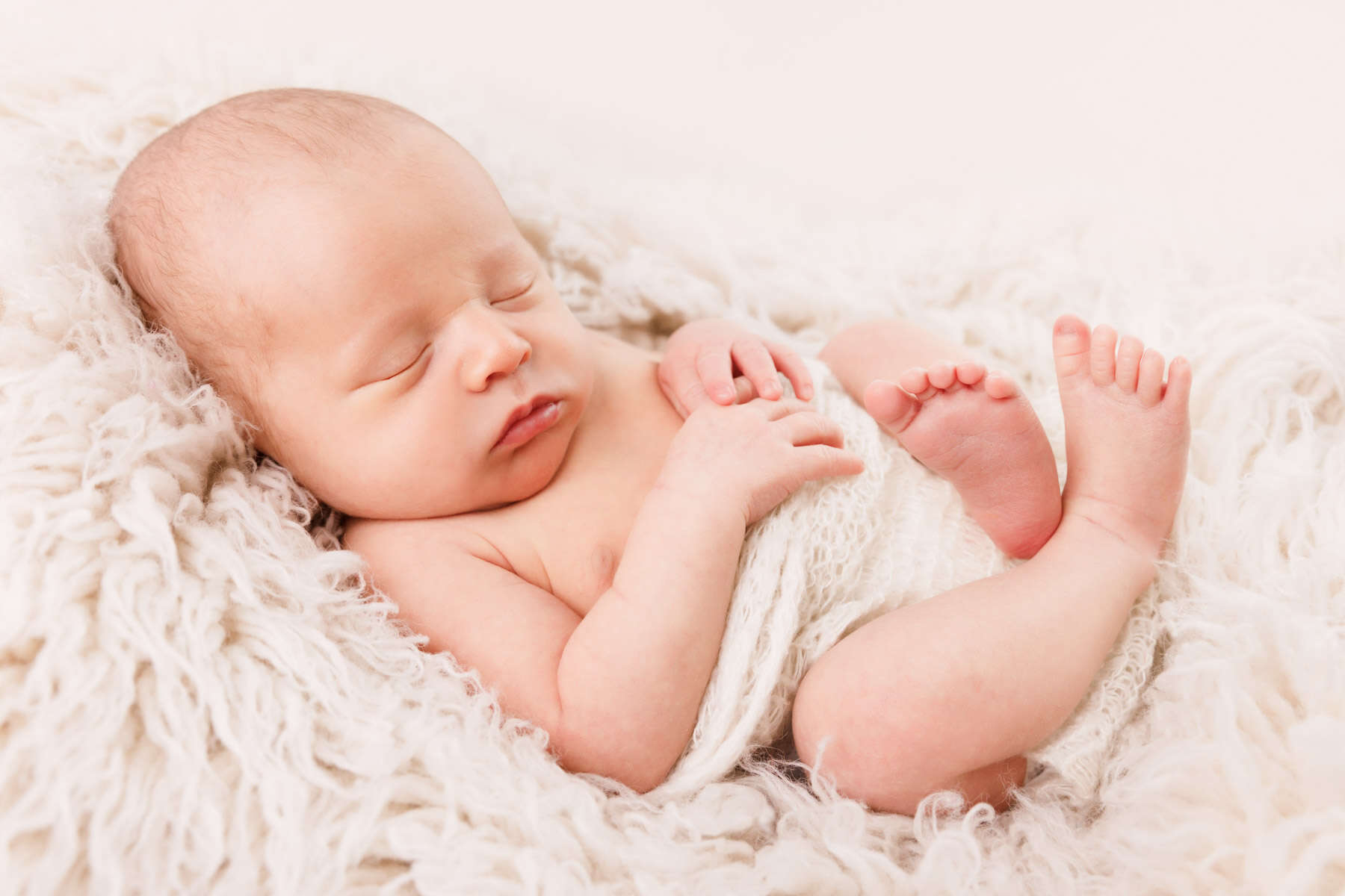 Recent newborn session in Perth