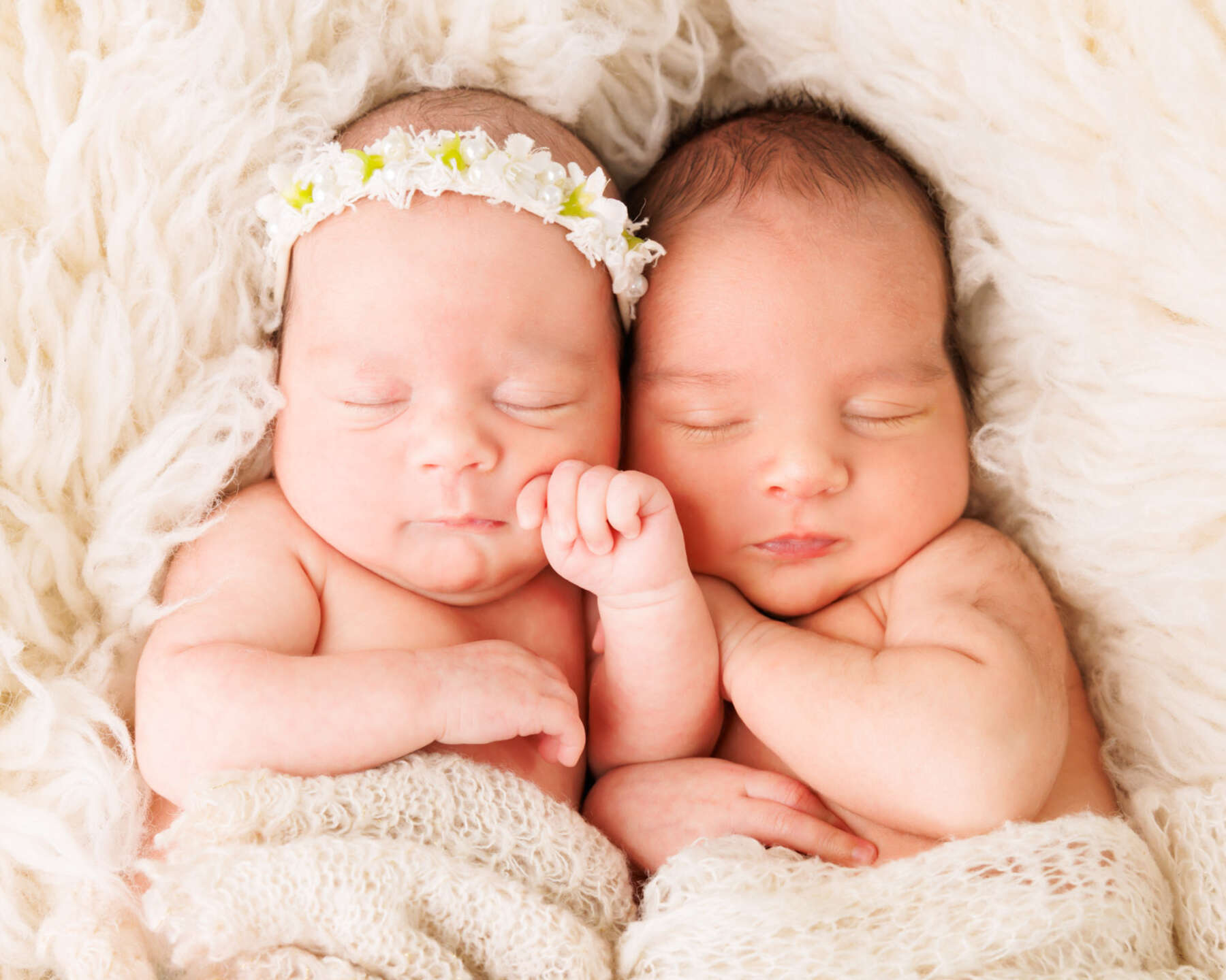 Recent newborn session in Perth